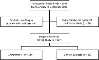 Association of cyclophilins and cardiovascular risk factors in coronary artery disease